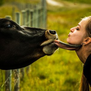 Che bacio appassionato!