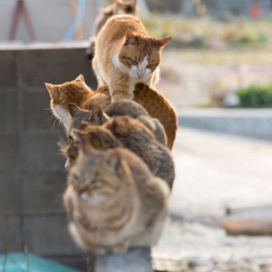 Che traffico oggi per strada