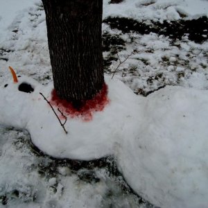 Chi ha ucciso il pupazzo di neve?