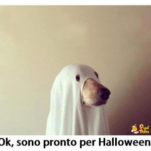 Costume di Halloween