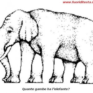 Elefante