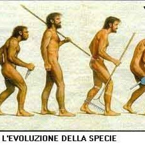 Evoluzione
