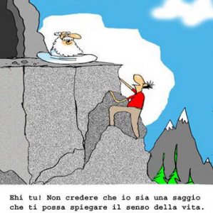 Finto saggio