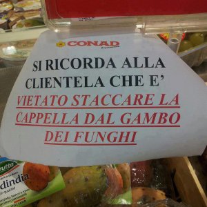 Funghi al supermercato