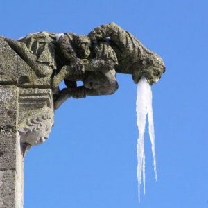 Gargoyle, ieri ha bevuto troppo!