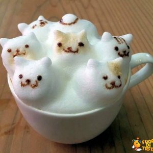 Gattuccino