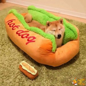 Hot dog letterale