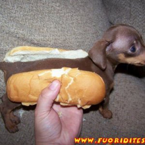 Hot Dog