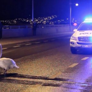 I pericoli delle strade norvegesi