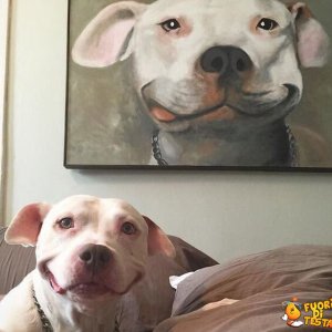 Il quadro e il cane