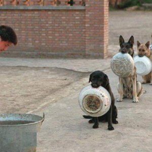 In fila per un pasto