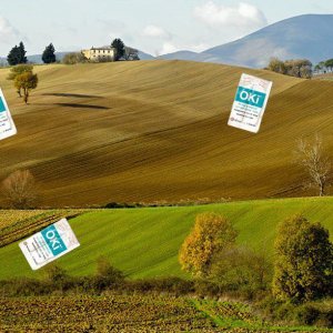 Le colline hanno gli Oki