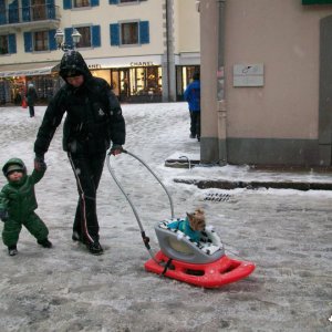 Lo slittino passeggino