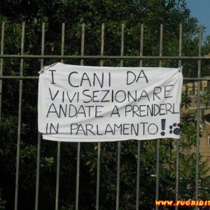 No alla vivisezione!