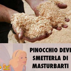 Pinocchio e la fata