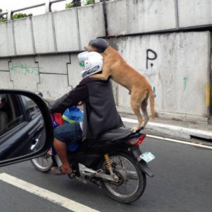 Presto, insegui quel taxi!