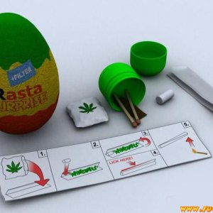 Kinder rasta