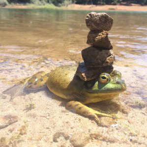 Tutta questione di equilibrio