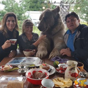 Un amico a colazione