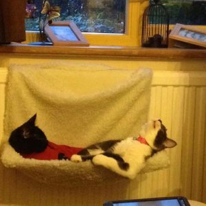 Un meritato momento di relax
