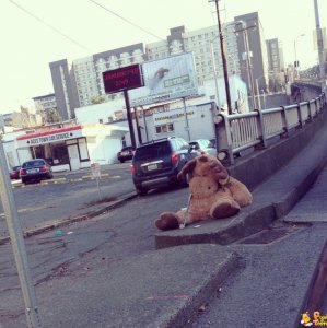 Un peluche barbone