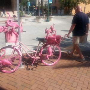 Una bicicletta molto... rosa