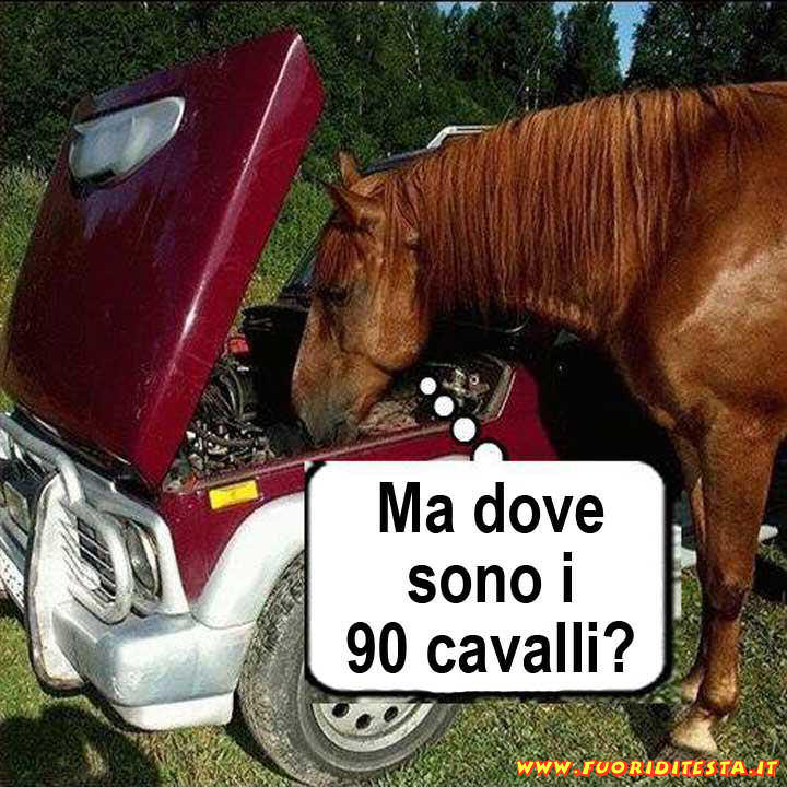 90 cavalli