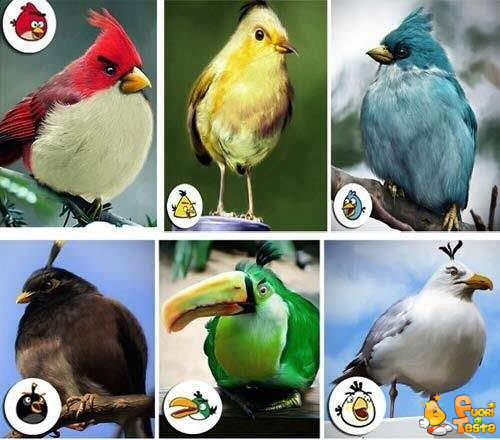 Angry Birds