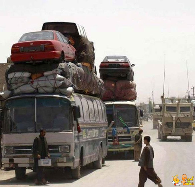 Autobus che trasporta automobili