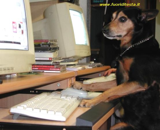 Cane informatico