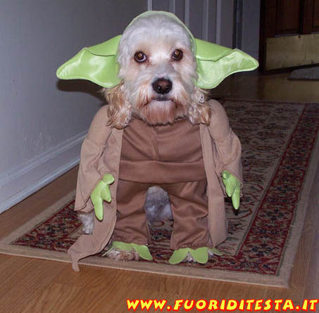 Cane Yoda