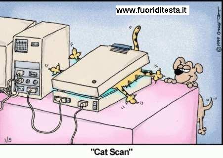 Catscan