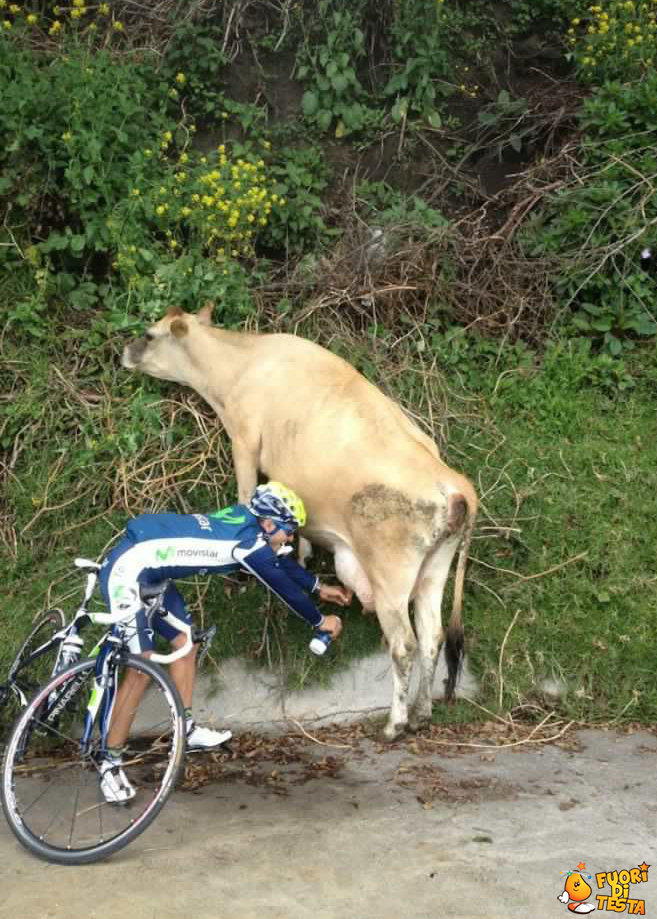 Ciclista ritrova le energie