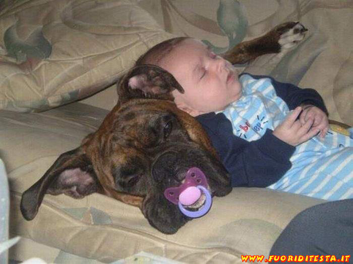 Comodo cuscino