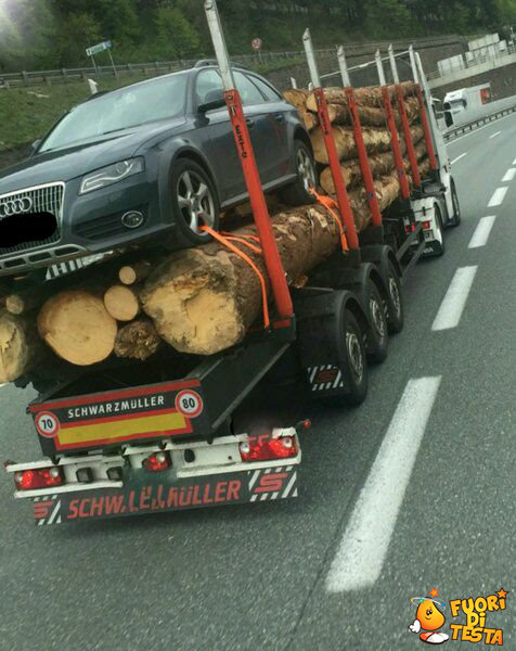 Mentre c'era ha trasportato tutto