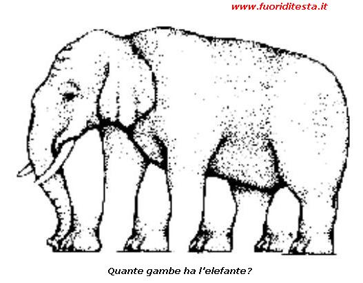 Elefante