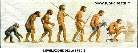 Evoluzione