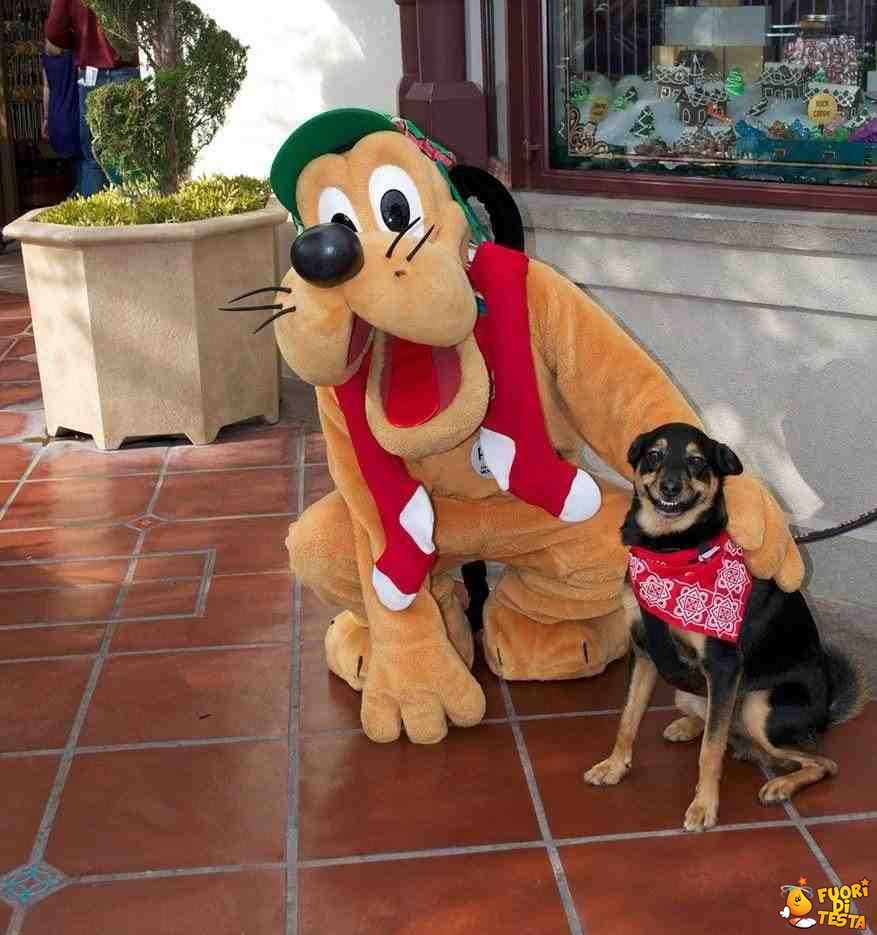 Foto ricordo con Pluto