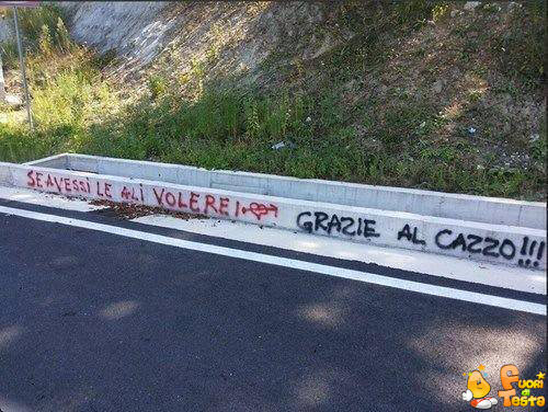 Geniali constatazioni