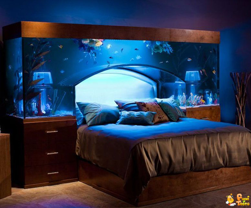 Il letto sotto l'acquario