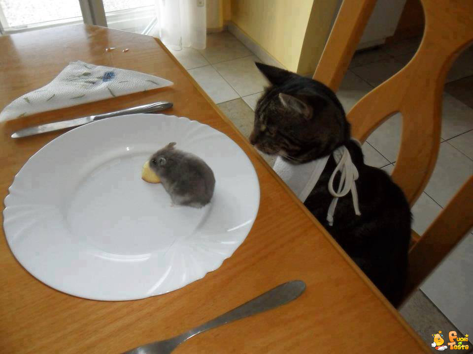 Il pranzo è servito