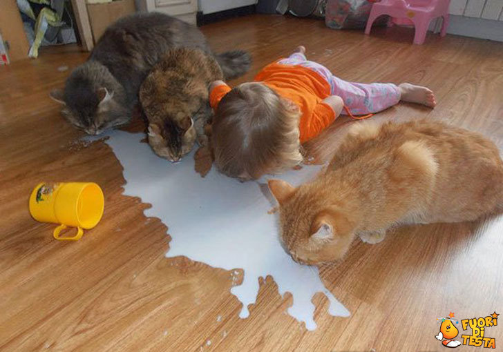 Imitare i propri amici