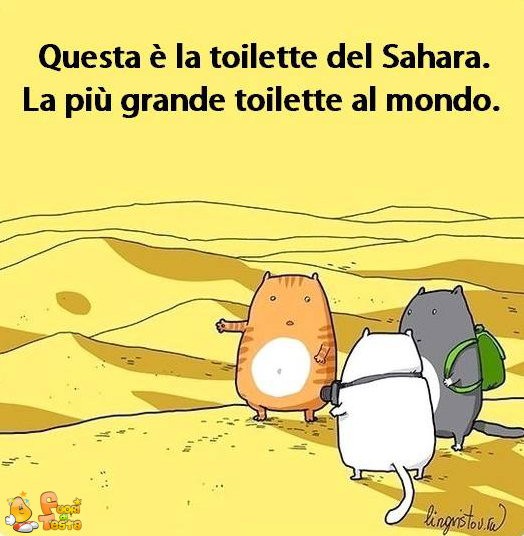 La toilette del Sahara