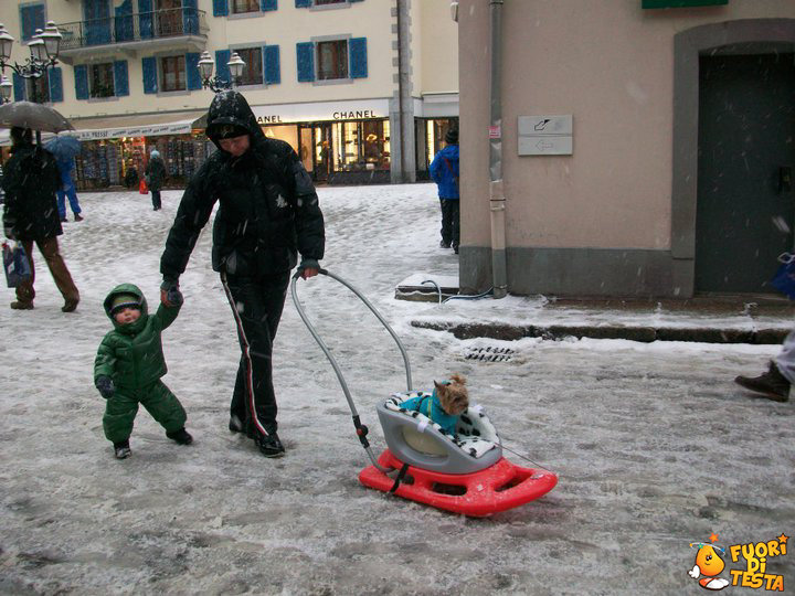 Lo slittino passeggino