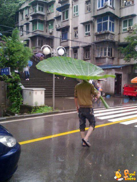 Ombrelli? Roba inutile!