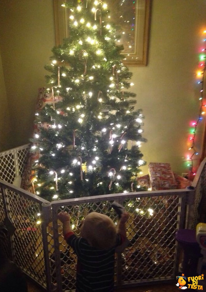 Proteggere un albero di Natale