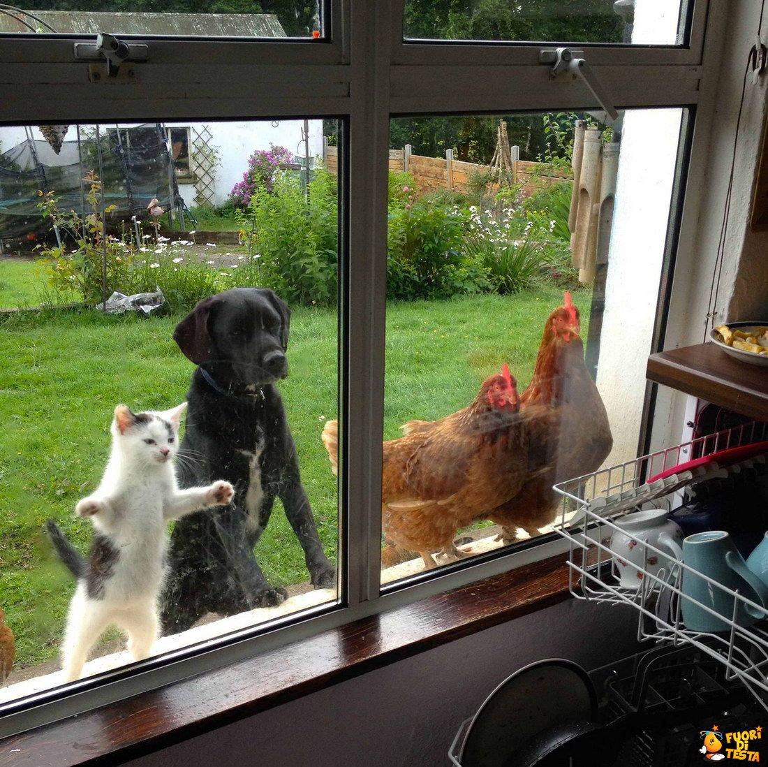 Un buon profumino in cucina