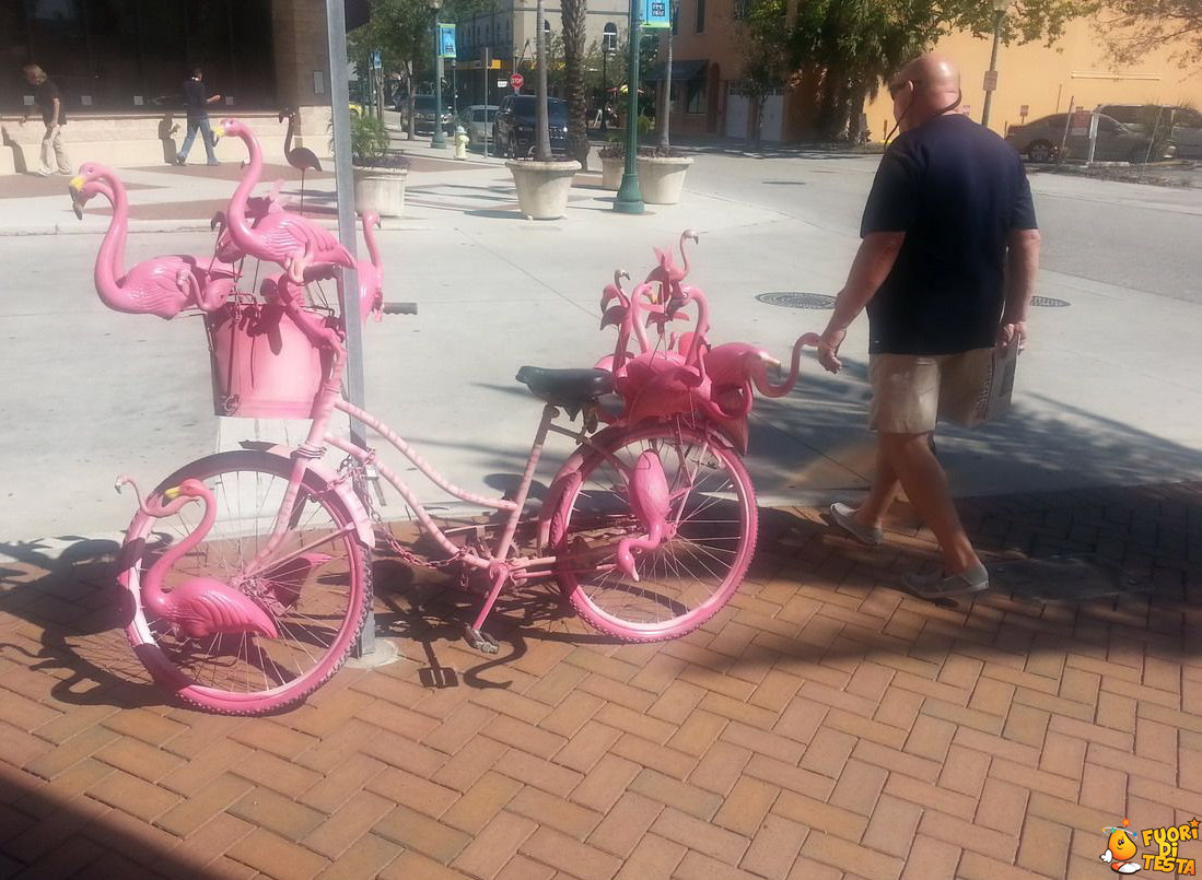 Una bicicletta molto... rosa