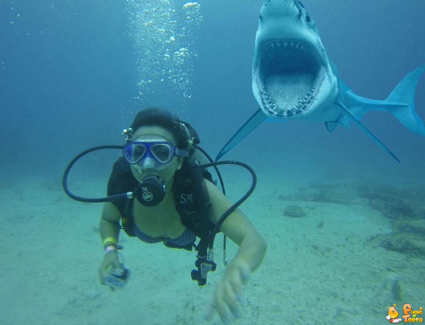 Una tranquilla nuotata in mare