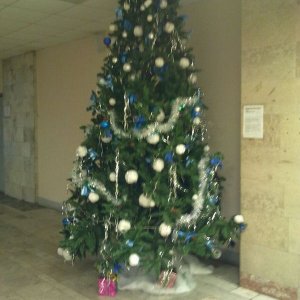 Albero di Natale troppo alto